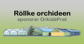 R�llke orchideen sponsrar Orkid�Prat